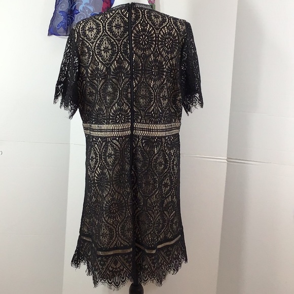 Hailey & Co black lace Malina dress 1X - Picture 7 of 13